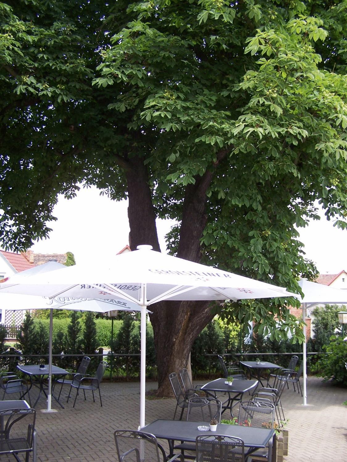 Hotel Glindenberger Hof Εξωτερικό φωτογραφία